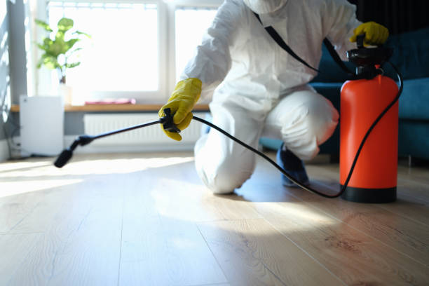 Reliable Infectious Disease Decontamination contractor in Empire, NV by Trauma Clean Pros